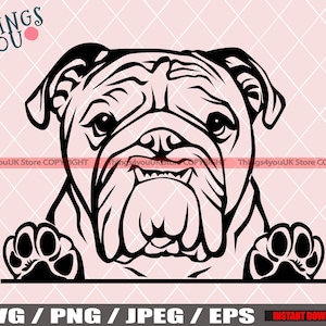 English Bulldog SVG, Old English Bulldog SVG, Bulldog Svg, Bulldog Cricut File, Peeking Bulldog, Bulldog Breed, Bulldog Svg File, Dog Svg