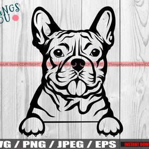 French Bulldog, French Bulldog SVG, Frenchie SVG, Frenchie Silhouette, Frenchie Lovers, Cute Peeking French Bulldog Svg, Silhouette, Cricut