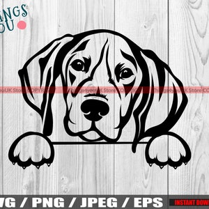German Shorthaired Pointer Svg, Peeking Dog And Paws, German Shorthaired Pointer PNG, JPEG, SVG, Cricut, Silhouette, Iron On, Printable