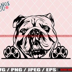 English Bulldog SVG, Old English Bulldog SVG, Bulldog Svg, Bulldog Cricut File, Peeking Bulldog, Bulldog Svg File, Dog Svg, Bulldog Breed