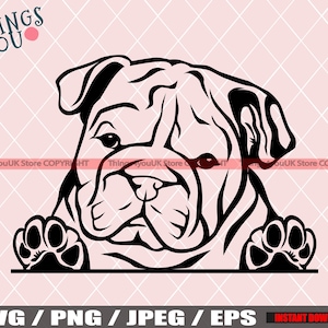 English Bulldog Svg, English Bulldog, Peeking Cute Little English Bulldog Vector File Outlines, Baby Bulldog Svg, English Bulldog Dogs Svg