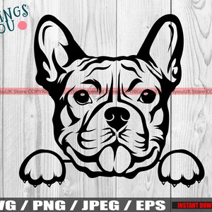 French Bulldog, French Bulldog SVG, Frenchie SVG, Frenchie Silhouette, Frenchie Lovers, Cute Peeking French Bulldog Svg, Silhouette, Cricut