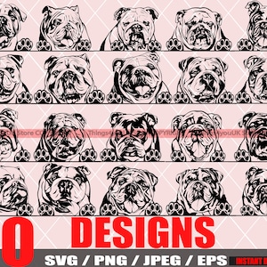 Bulldog inglese SVG, Bulldog inglese antico SVG, Bulldog Svg, Bulldog Cricut File, Sbirciare Bulldog, Razza Bulldog, Bulldog Svg File, Cane Svg