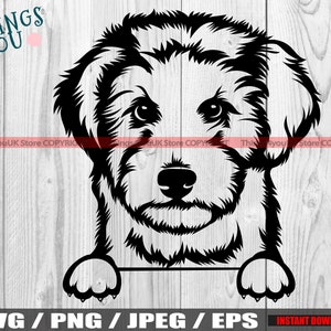 Labradoodle SVG, Goldendoodle SVG, Labradoodle Peeking Dog Svg, Labradoodle Silhouette, Hund und Pfoten, Silhouette, Cricut Cut File, Süßer Hund