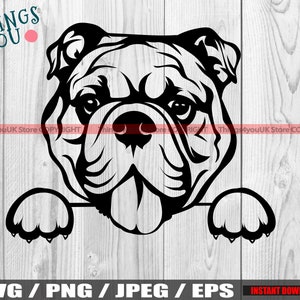 English Bulldog SVG, Bulldog SVG, Bulldog Mom, English Bulldog Mom, Bulldog Silhouette, Peeking Bulldog, Bulldog Lovers, Cricut, Silhouette