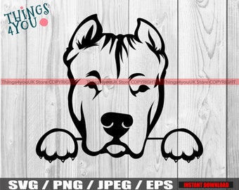 Dogo Argentino, Dogo Argentino SVG, Dogo Argentino Peeking Dog, Dogo Head, Dogo Argentino Clipart, Cricut Cut File, Silhouette, Iron On