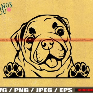 English Bulldog SVG, Cute Baby English Bulldog, Bulldog Svg, Bulldog Cricut File, Peeking Bulldog, Bulldog Breed, Bulldog Svg File, Dog Svg