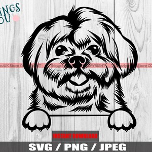 Maltese SVG, Peeking Maltese Dog, Dog And Paws, Maltese Png, Maltese Clipart, Maltese Lovers, Silhouette, Cricut, Printable, Iron On