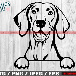 Vizsla SVG, Vizsla Dog SVG, Vizsla Dad, Vizsla Peek A Boo, Vizsla Lovers, Vizsla Silhouette, Vizsla Cricut Cut File, Vizsla PNG Jpeg Eps