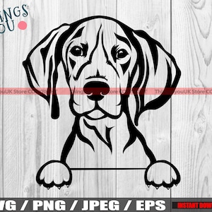 German Shorthaired Pointer Svg, Peeking Dog And Paws, German Shorthaired Pointer PNG, JPEG, SVG, Cricut, Silhouette, Iron On, Printable