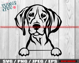 German Shorthaired Pointer Svg, Peeking Dog And Paws, German Shorthaired Pointer PNG, JPEG, SVG, Cricut, Silhouette, Iron On, Printable