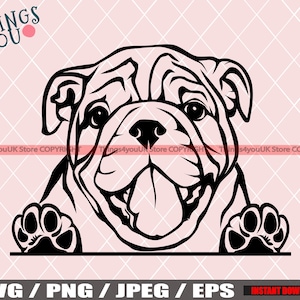 English Bulldog SVG, Old English Bulldog SVG, Bulldog Svg, Bulldog Cricut File, Peeking Bulldog, Bulldog Breed, Bulldog Svg File, Dog Svg