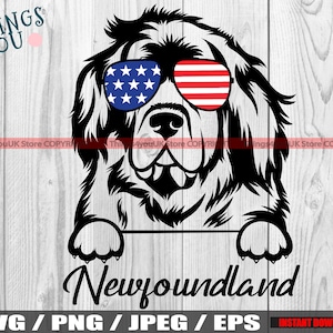 Newfoundland SVG, Newfoundland Dog Svg, Newfoundland Peek A Boo, Newfoundland Silhouette, Newfoundland Cricut Cut FIle, Newfoundland Clipart