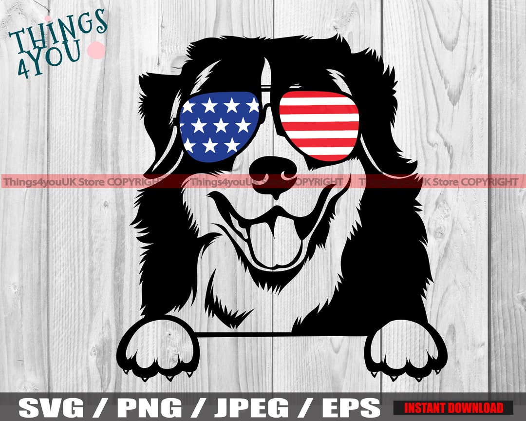 Berner SVG, Berner SVG, Berner Hunde sVG, SVG, Berner SVG, Berner ...