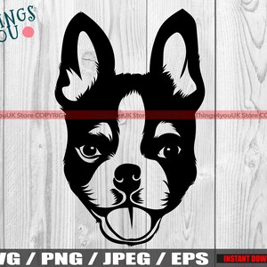 Boston Terrier, Boston Terrier SVG, Terrier SVG, Terrier Silhouette, Boston Terrier Lovers, Peeking Boston Terrier Svg, Silhouette, Cricut