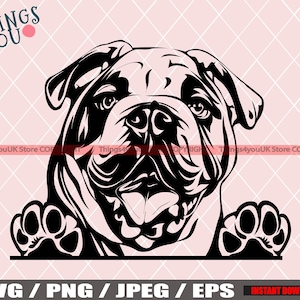 English Bulldog SVG, Old English Bulldog SVG, Bulldog Svg, Bulldog Cricut File, Peeking Bulldog, Bulldog Breed, Bulldog Svg File, Dog Svg