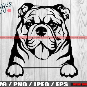 Englische Bulldogge SVG, Bulldogge SVG, Bulldogge Mama, englische Bulldogge Mama, Bulldogge Silhouette, spähende Bulldogge, Bulldoggenliebhaber, Cricut, Silhouette
