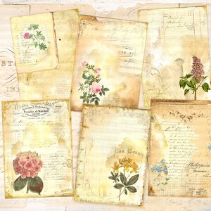 Digital Vintage Botanical Junk Journal Ephemera, Floral Digital Collage Sheet, Botanical Digital Paper Pack, Vintage Junk Journal Ephemera