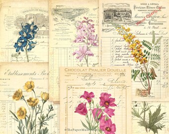 Papel botánico imprimible, hoja de collage digital para diario basura, papel de álbum de recortes floral, papel de diario de efímeras francés vintage, libro de contabilidad vintage