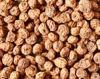 Tiger nut