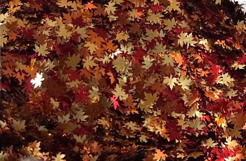 Fall Leaves Glitter Shapes Autumn Leaves Confetti Chunky Leaf Etsy Fall Leaves Glitter Shapes Autumn Leaves Confetti Chunky Leaf Etsy