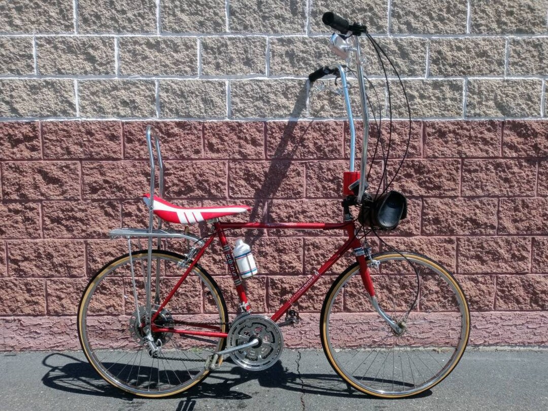 Custom Ross Euro Sport Road Bicycle Etsy