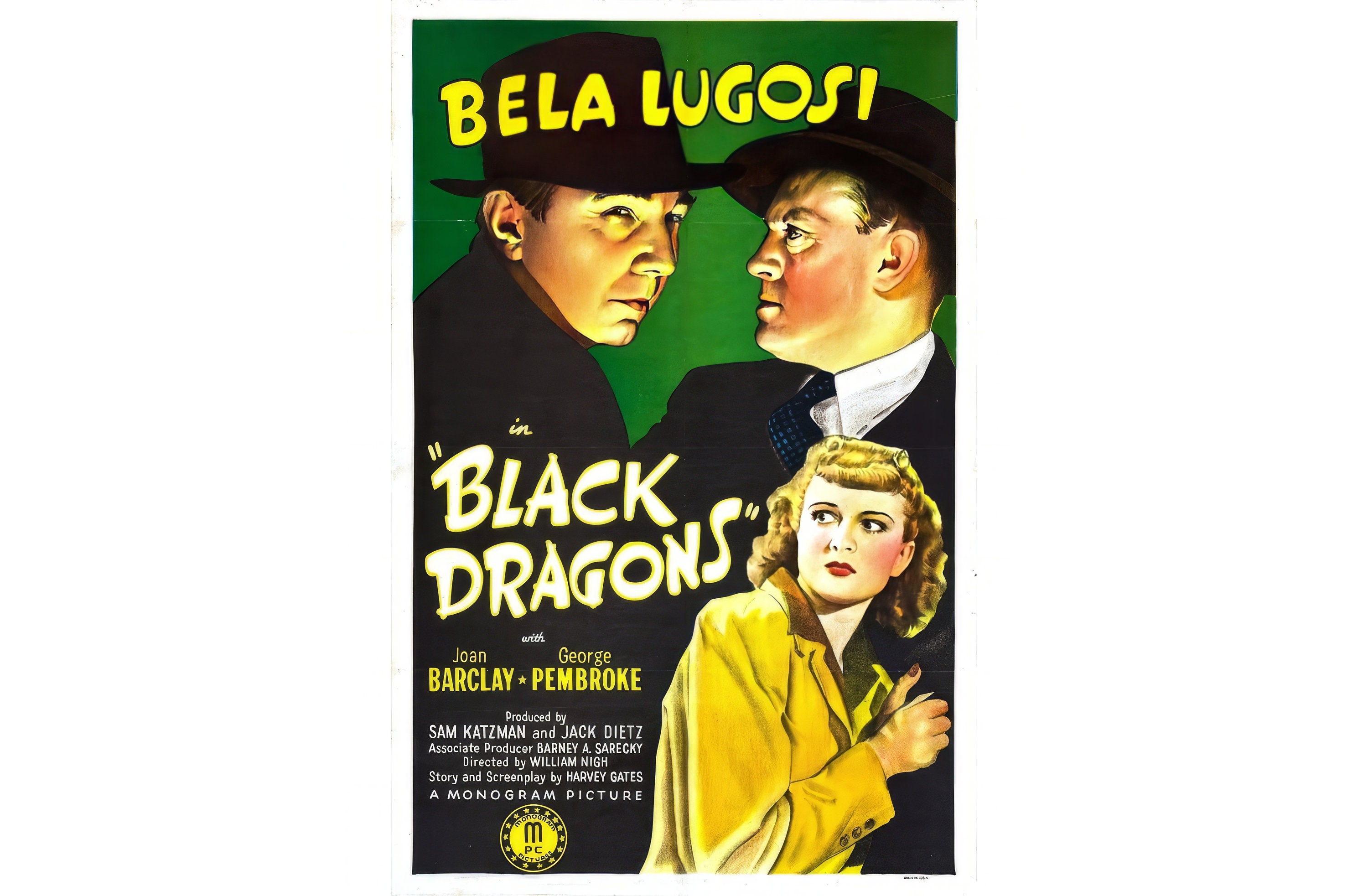 lynch.ブラトラBlack Triangle DVD MOTHERLAKE lynch.ブラトラBlack Triangle DVD MOTHERLAKE lynch.ブラトラBlack