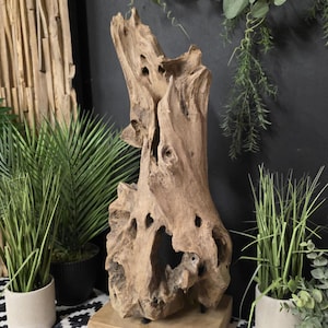 Unique Teak Root Sculpture | Solid Reclaimed Teak Root Accent | Unusual Shape Home Decor | 75cm Tall