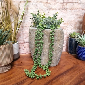 May include: A large, textured stone-colored planter filled with green leafy plants and trailing string-of-pearls succulents. Other potted plants are visible in the background, including a blue textured pot and a striped pot. The scene is set on a wooden surface.