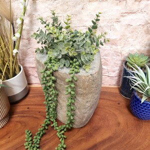 May include: A stone-like, gray-colored planter filled with green eucalyptus and string-of-pearls plants. The planter sits on a wooden surface, with other potted plants in the background. The overall theme is home decor and gardening.