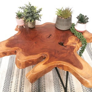 Pu&ograve; includere: Un tavolino da caff&egrave; in legno naturale con un design a bordo vivo. Il tavolo ha una finitura in legno marrone scuro e una forma unica e irregolare. Tre piante in vaso sono posizionate sul tavolo, aggiungendo un tocco di verde.
