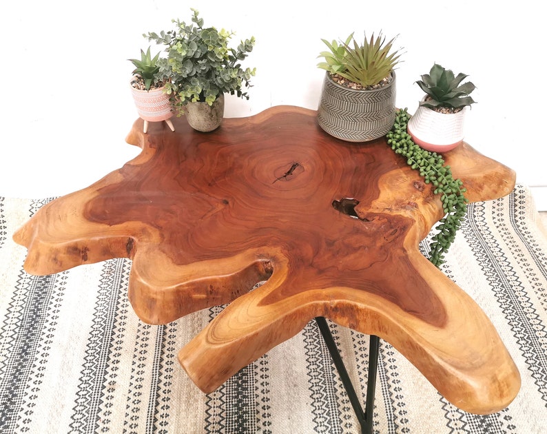 Pu&ograve; includere: Un tavolino da caff&egrave; in legno naturale con un design a bordo vivo. Il tavolo ha una finitura in legno marrone scuro e una forma unica e irregolare. Tre piante in vaso sono posizionate sul tavolo, aggiungendo un tocco di verde.