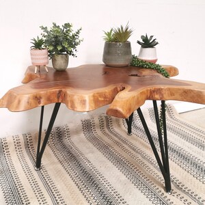 Pu&ograve; includere: Un tavolino da caff&egrave; in legno con un piano in legno vivo e gambe a forcina nere. Il tavolino &egrave; su un tappeto con un motivo geometrico. Ci sono tre piante in vaso sul tavolino.