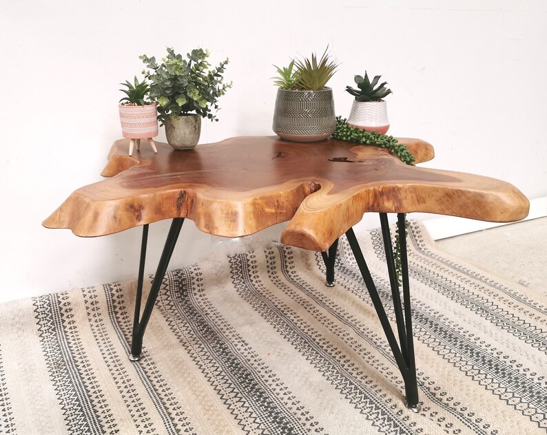 Pu&ograve; includere: Un tavolino da caff&egrave; in legno con un piano in legno vivo e gambe a forcina nere. Il tavolino &egrave; su un tappeto con un motivo geometrico. Ci sono tre piante in vaso sul tavolino.