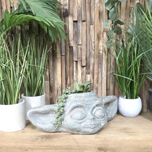 May include: A grey concrete planter in the shape of a character's head, with large ears and facial features. The planter contains a small succulent and is surrounded by various potted green plants, including tall grasses and leafy plants.