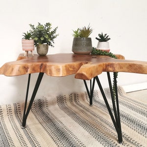 Pu&ograve; includere: Un tavolino da caff&egrave; in legno con un piano in legno vivo e gambe a forcina in metallo nero. Il tavolo &egrave; decorato con tre piante in vaso.