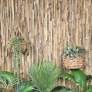 May include: Two hanging plant baskets with green plants against a wood slat wall. The baskets are made of woven natural material and are hanging from rope.