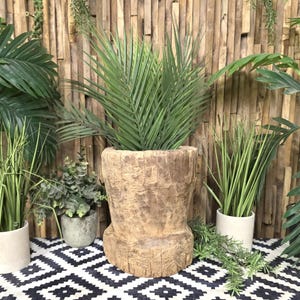 May include: A large, weathered wooden planter filled with green palm fronds. The planter is cylindrical with a wide base and a textured surface. Other potted plants and greenery are arranged around it, set against a wooden plank backdrop.