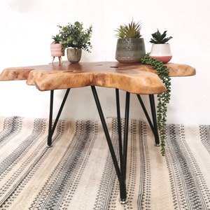 Pu&ograve; includere: Un tavolino da caff&egrave; in legno con un piano in legno vivo e gambe a forcina nere. Il tavolo &egrave; decorato con tre piante in vaso.