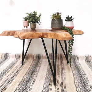 Pu&ograve; includere: Un tavolino da caff&egrave; in legno con un piano in legno vivo e gambe a forcina nere. Il tavolo &egrave; decorato con tre piante in vaso.