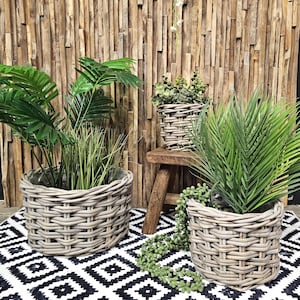 May include: Three grey wicker plant pots with green plants inside. The pots are on a black and white patterned rug in front of a wooden wall.