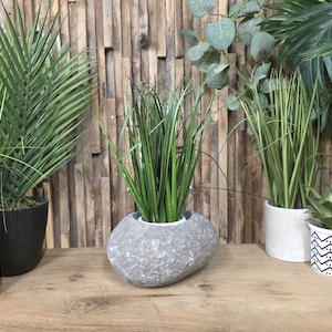 May include: An assortment of potted plants, featuring tall green grass, palm leaves, and a succulent. The pots vary in style, including a grey stone-effect oval, a black textured pot, and white ceramic pots. The backdrop is a wooden wall.