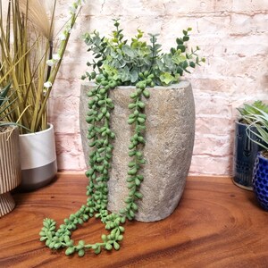 May include: A large, textured, stone-coloured oval planter filled with green leafy plants and trailing string-of-pearls succulents. Other decorative planters with plants are in the background, including a ribbed planter and blue ceramic pots.