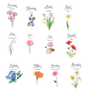 Puede incluir: Un fondo blanco presenta ilustraciones en acuarela de doce flores diferentes, cada una representando un mes del año. Cada flor está etiquetada con su nombre y el mes que representa, como "Enero - Clavel."