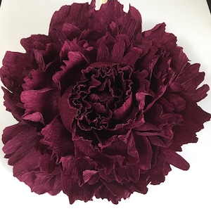 Crepe Peony Template #2