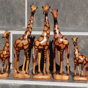 Set of 5 Fine Art Olive Wood Burnt Giraffe Herd standing mini figurines. Zimbabwean Carved Artwork. Home/office decor African animals gifts