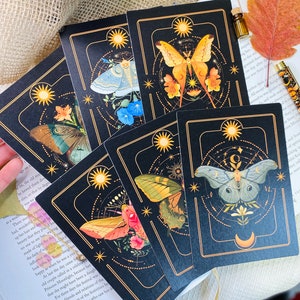 SET Schmetterling Art Prints For Wall A6 Sized Post Card Artprint Botanische Postkarte Postkarten Floral Art Prints Bugs Dekorativer Kunstdruck