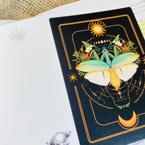 May include: A black and gold illustration of a praying mantis with a sun and moon in the background. The illustration is surrounded by a gold frame and has a white background.