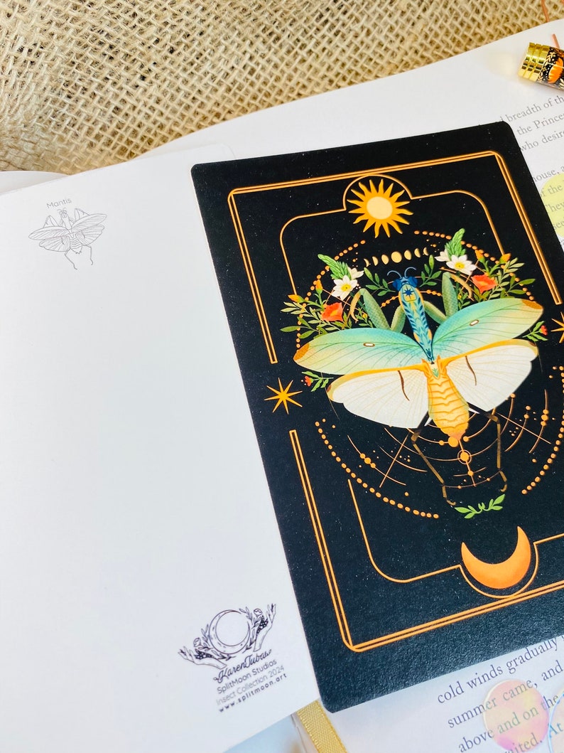 May include: A black and gold illustration of a praying mantis with a sun and moon in the background. The illustration is surrounded by a gold frame and has a white background.