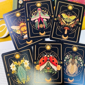 Peut inclure: Six cartes illustr&eacute;es avec un fond noir et des accents dor&eacute;s. Chaque carte pr&eacute;sente un insecte ou une cr&eacute;ature diff&eacute;rent, notamment un papillon de nuit, une coccinelle, une abeille et un scarab&eacute;e. Les cartes font partie d'un ensemble d'illustrations plus large.